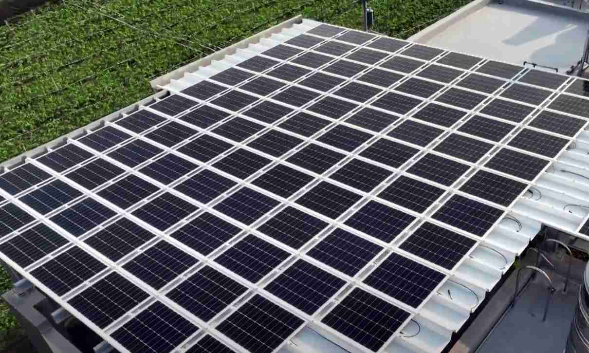 森林舞会SunSteel光电浪板升级双玻结构，，，，以提升机械负载强度及气候耐候度，，可广泛运用于多元场域