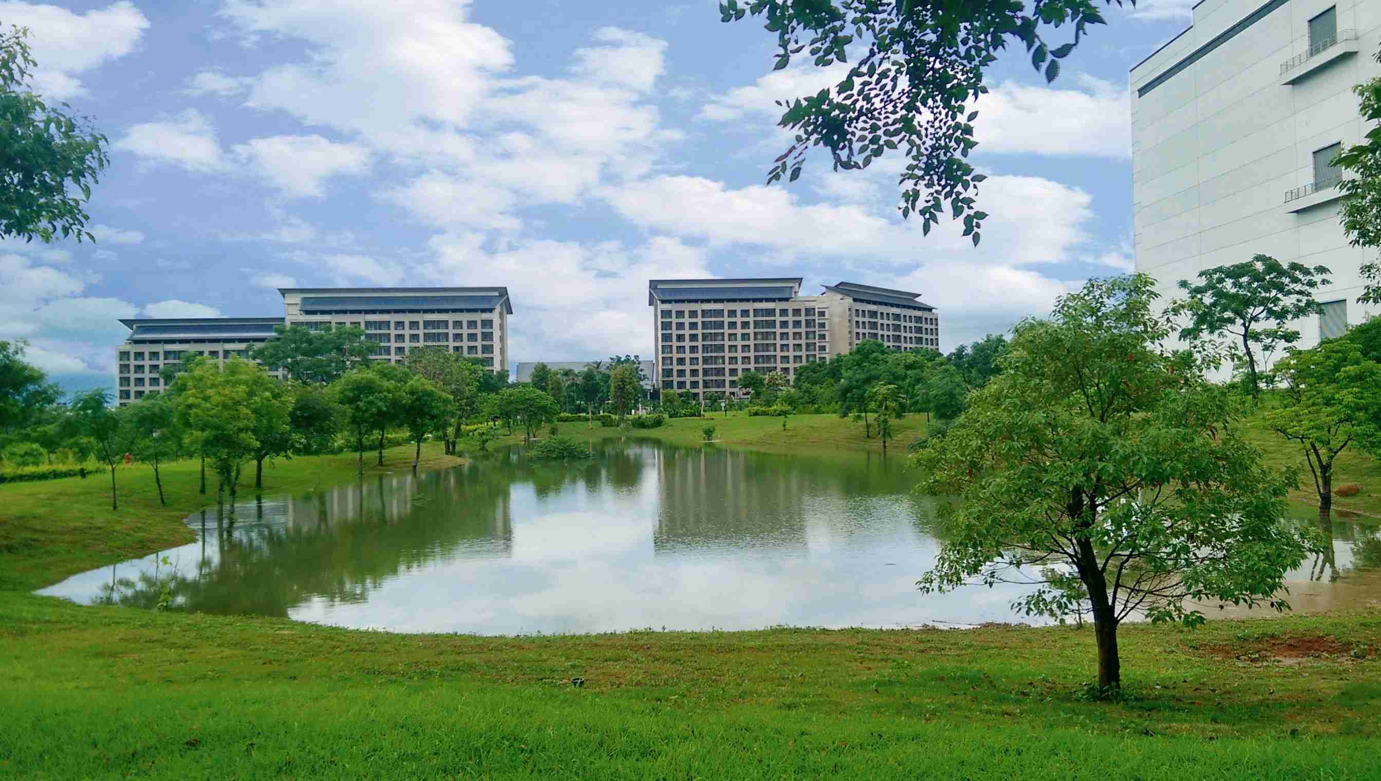 森林舞会响应国际倡议生物多样性趋势，，首次发布TNFD自然相关财务揭露报告书，，擘划及开展森林舞会生物多样性政策之承诺，，逐步迈向与自然和谐共生